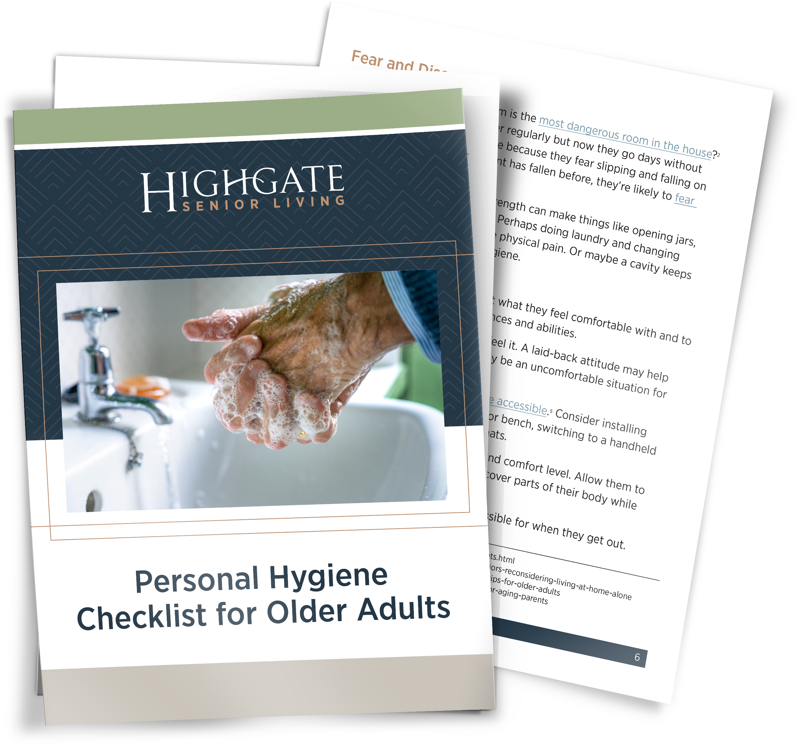 Personal Hygiene Checklist